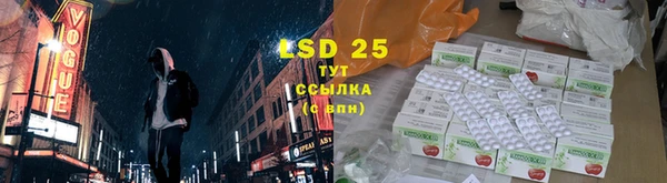 гашик Верея