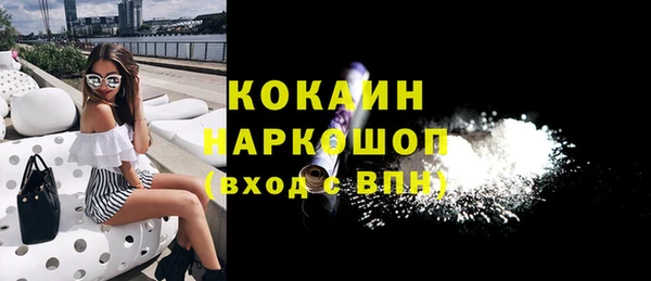 гашик Верея