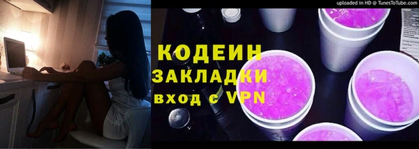 гашик Верея