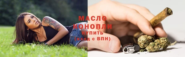 гашик Верея