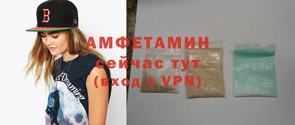 гашик Верея