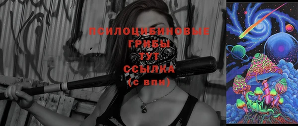 стаф Бугульма