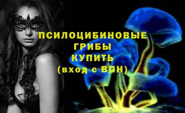 спайс Верхний Тагил