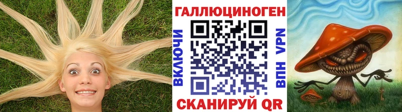 Псилоцибиновые грибы GOLDEN TEACHER  Купить закладки  Холм 
